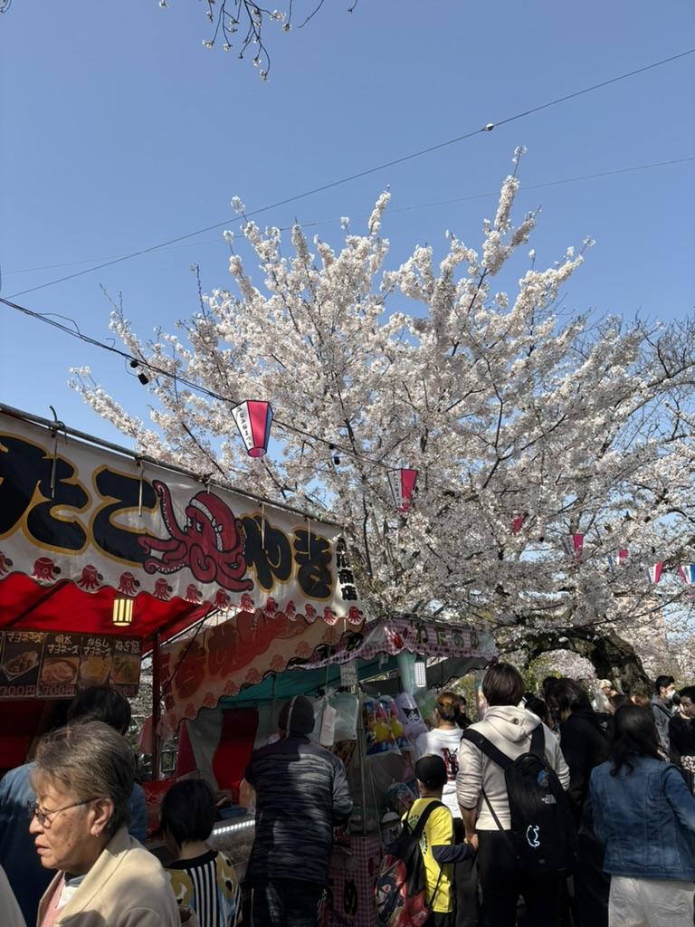 Sakura